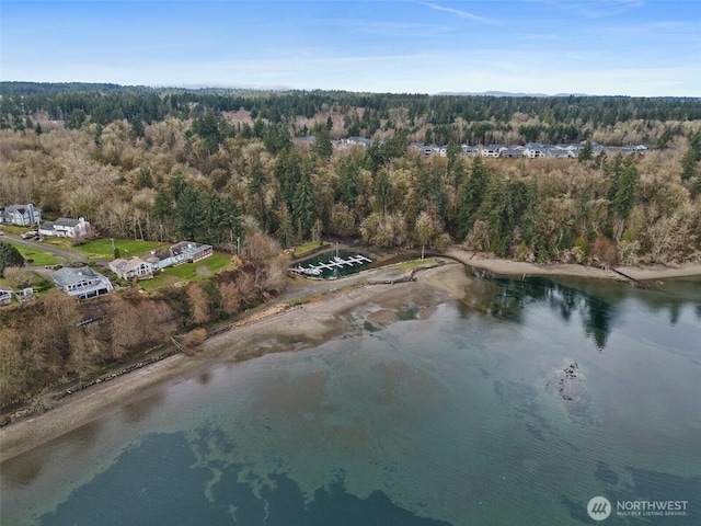 drone / aerial view with a view of trees and a water view