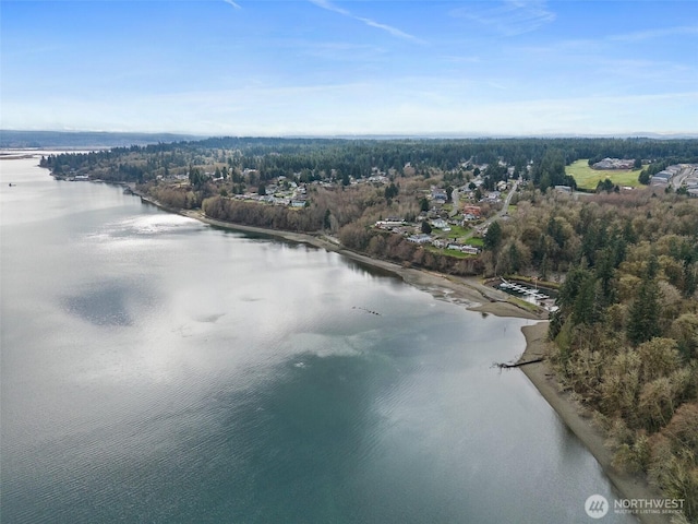 aerial view featuring a view of trees and a water view