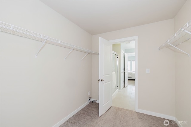 walk in closet featuring light carpet