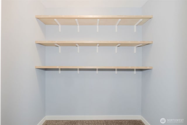 spacious closet with carpet flooring