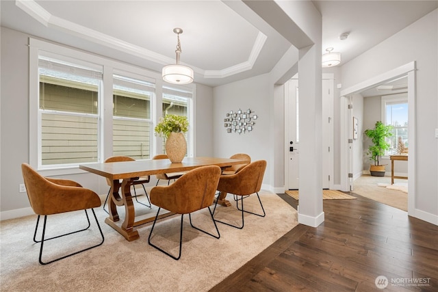 dining room with a tray ceiling, plenty of natural light, dark wood finished floors, and baseboards