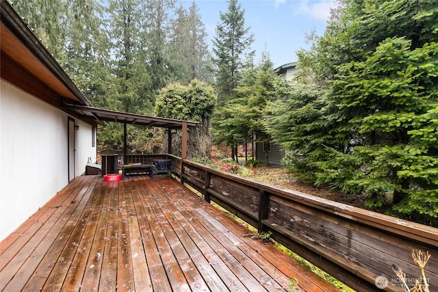 17014 Glacier Rim Dr, Deming, WA 98244 - photo 4