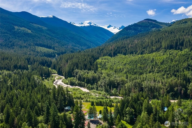 17014 Glacier Rim Dr, Deming, WA 98244 - photo 23