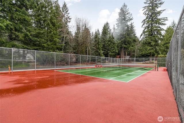 17014 Glacier Rim Dr, Deming, WA 98244 - photo 27