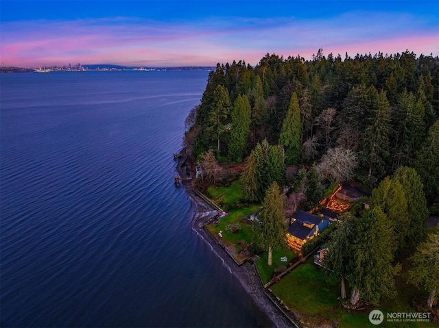 aerial view at dusk with a water view