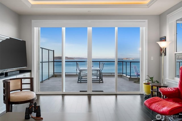 interior space with a water view, a wealth of natural light, and wood finished floors