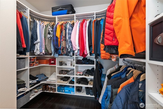 walk in closet featuring wood finished floors