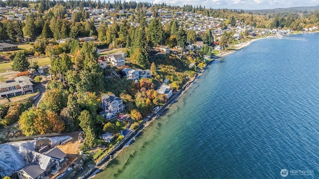 1831 Miracle Mile Dr E, Port Orchard, WA 98366 - birds eye view of property with a water view