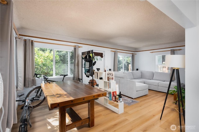 living area with a textured ceiling and light wood-style floors