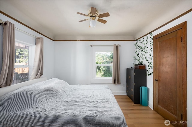 bedroom featuring light wood-style floors, multiple windows, and ceiling fan