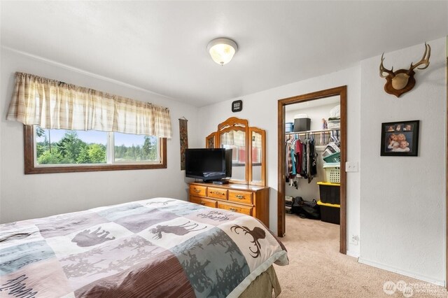 4421 89th Ave SE, Olympia, WA 98501 - bedroom featuring a closet, light colored carpet, and a spacious closet