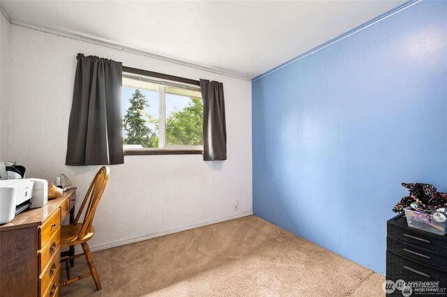 4421 89th Ave SE, Olympia, WA 98501 - office with carpet flooring