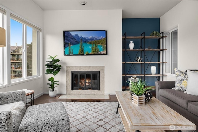 living room featuring baseboards, a premium fireplace, and wood finished floors