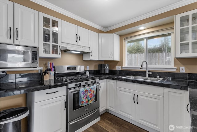 kitchen featuring a sink, stainless steel appliances, under cabinet range hood, and tile counters