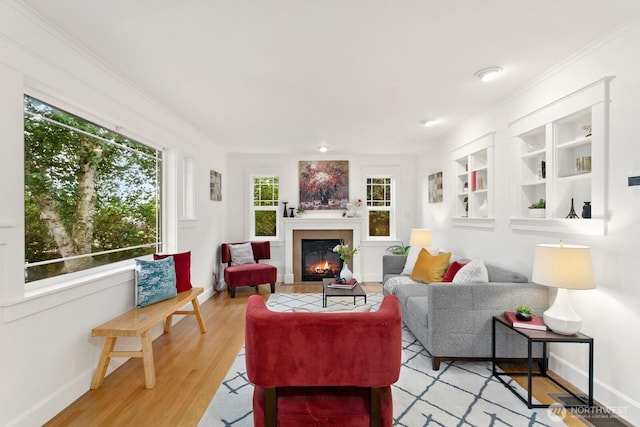 3657 23rd Ave W, Seattle, WA 98199 - living area featuring a glass covered fireplace and light wood-type flooring