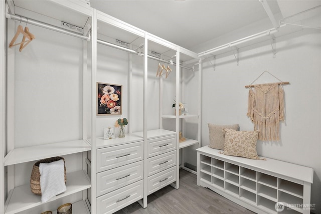 walk in closet with wood finished floors