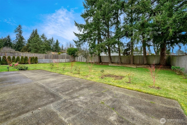 view of yard featuring a patio area and a fenced backyard