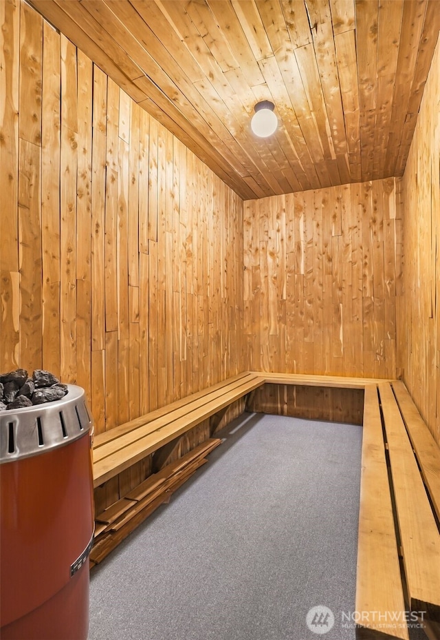 view of sauna featuring carpet