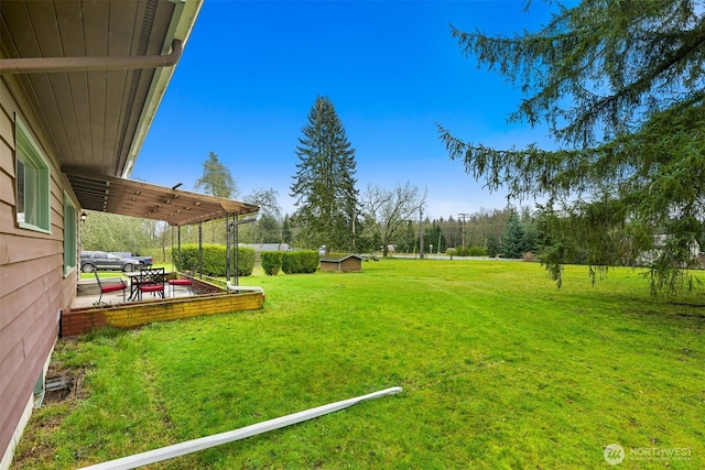 view of yard featuring a patio area and a pergola