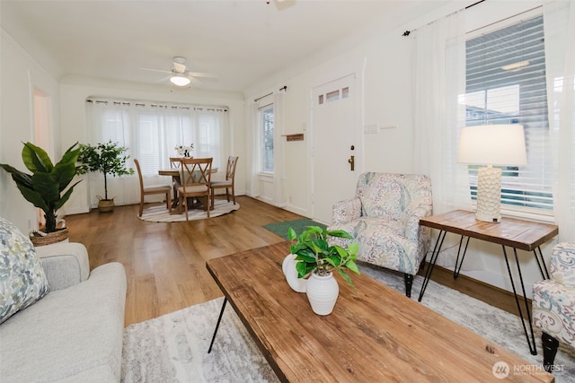 living area with ceiling fan and wood finished floors