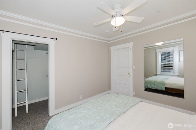 carpeted bedroom with crown molding, a closet, a spacious closet, ceiling fan, and baseboards