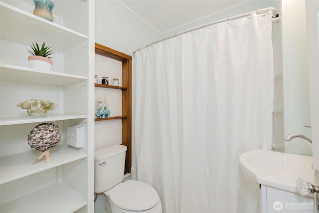 bathroom with a sink and toilet