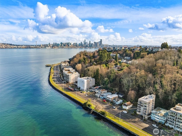 birds eye view of property featuring a city view and a water view