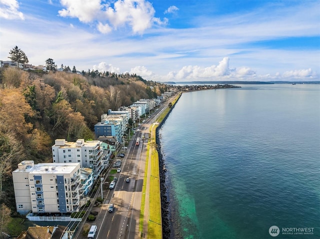 bird's eye view with a water view