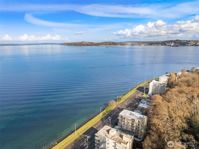 bird's eye view with a water view