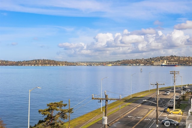 property view of water