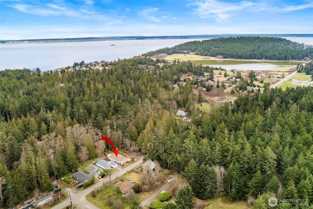 birds eye view of property featuring a wooded view and a water view