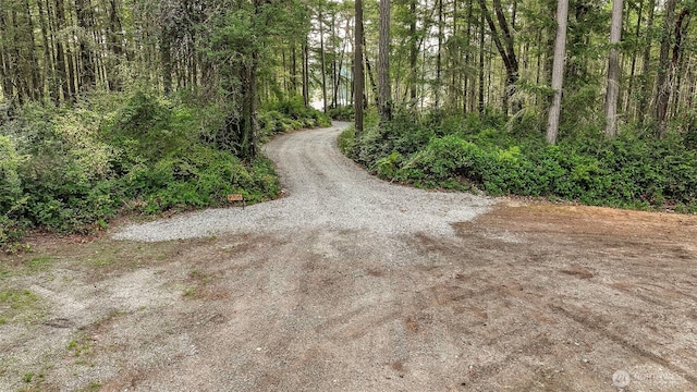 view of road featuring a view of trees