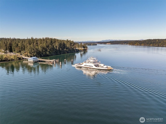 water view featuring a boat dock and a wooded view