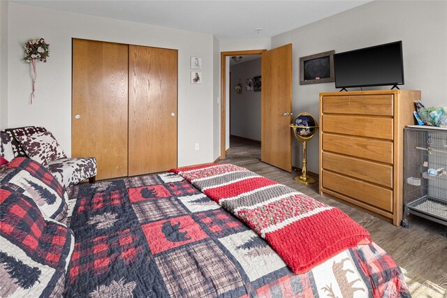 10893 Brick Mill Rd, Ellensburg, WA 98926 - bedroom with wood finished floors and a closet