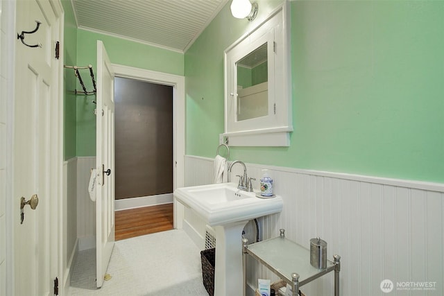 bathroom featuring wood finished floors, a wainscoted wall, and a sink