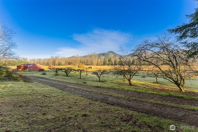 view of yard featuring a mountain view and a rural view