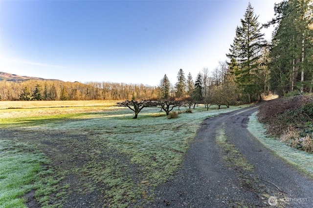 view of street with a rural view and a view of trees