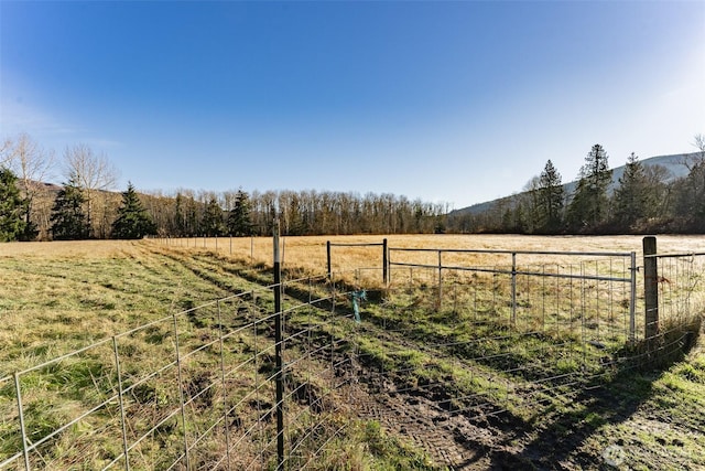 view of yard featuring a rural view and fence