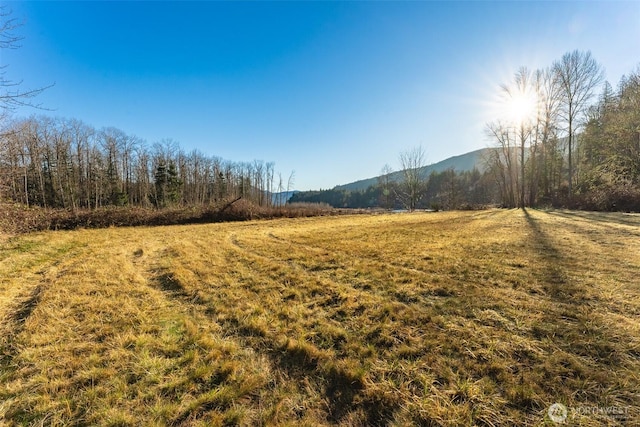 view of yard with a mountain view and a rural view