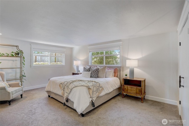 bedroom with carpet, multiple windows, and baseboards