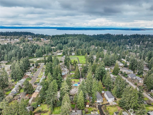 birds eye view of property with a view of trees and a water view