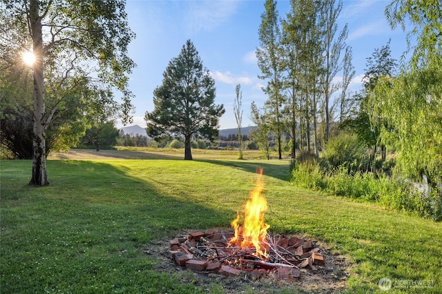 view of home's community with a fire pit and a lawn