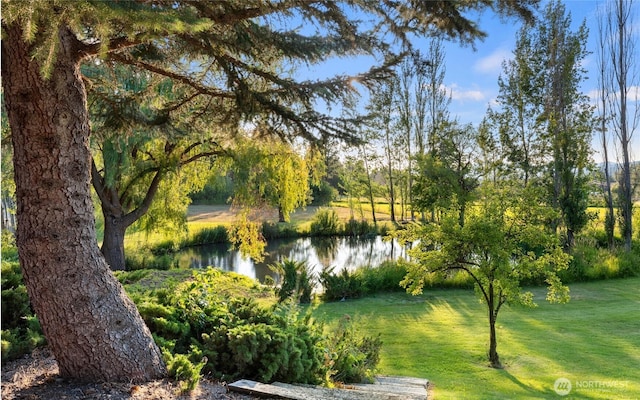 surrounding community featuring a water view and a lawn