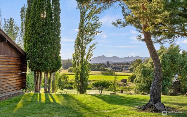 view of yard with a mountain view