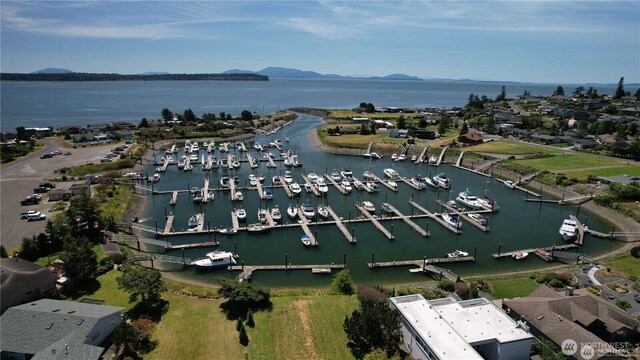 8246 Salish Ln, Blaine, WA 98230 - aerial view of property and surrounding area with a water and mountain view and numerous boat docks