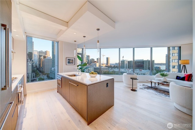 kitchen with a city view, light wood-style flooring, open floor plan, a sink, and modern cabinets