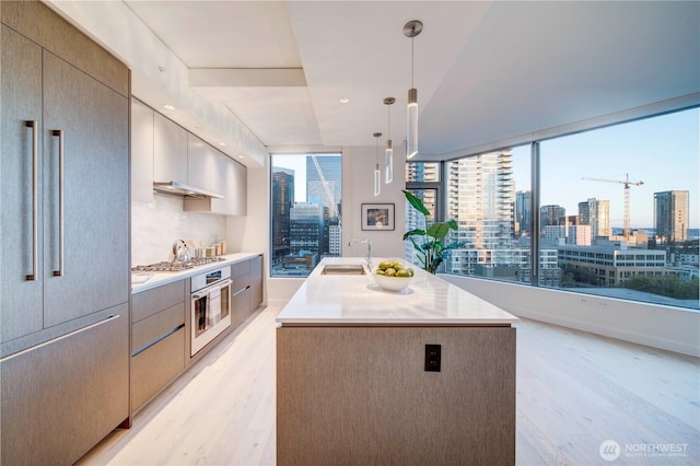 kitchen featuring light wood-style floors, a view of city, appliances with stainless steel finishes, and a center island with sink