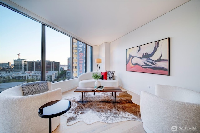 living area featuring baseboards and a city view