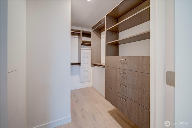 spacious closet featuring light wood-style floors