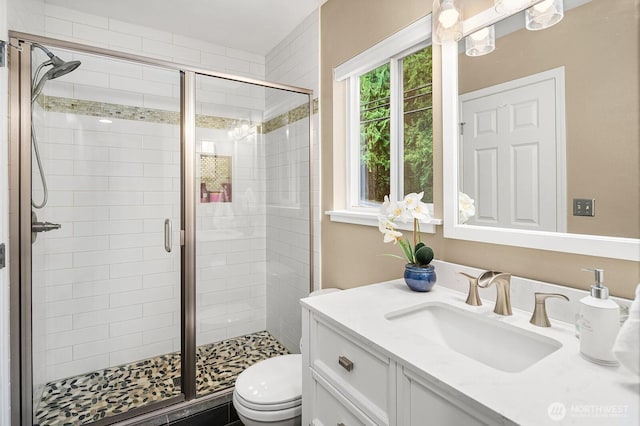 bathroom with toilet, a shower stall, and vanity